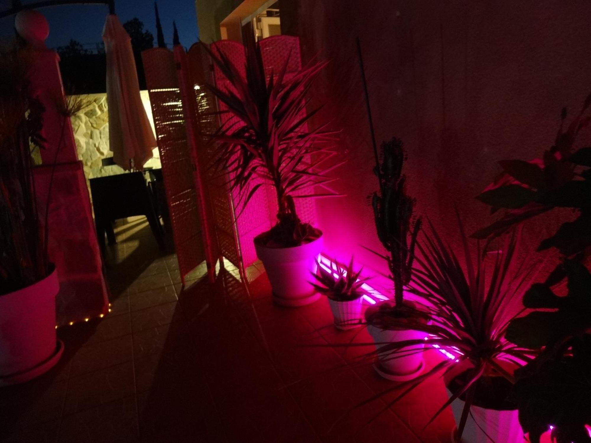 Las Palomas, Appartement 3 Chambres Avec Piscine Turís Kültér fotó